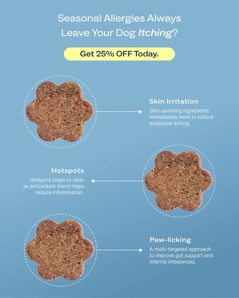 A clean, educational 4:5 static ad that breaks down specific health benefits of allergy chews for dogs using clear imagery and concise text.